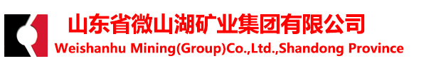 山東省微山湖礦業集團有限公司